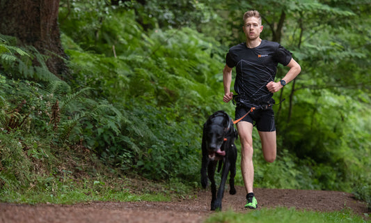 Replay our live Q&A session about canicross with Ben Robinson
