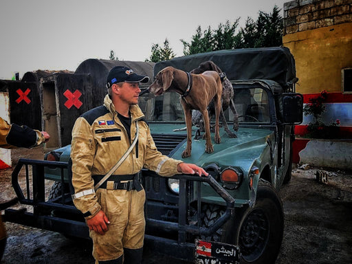 Searching for life in Beirut: - No one but a dog can help these people