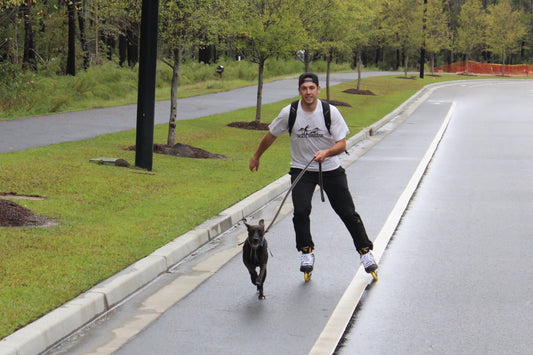 Skating shelter dogs into adoption: - They transform right before our eyes