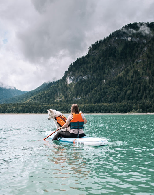 Paws on paddles - Week 1