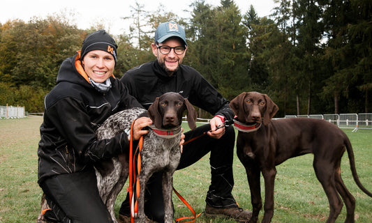 How to teach your dog to live with other animals