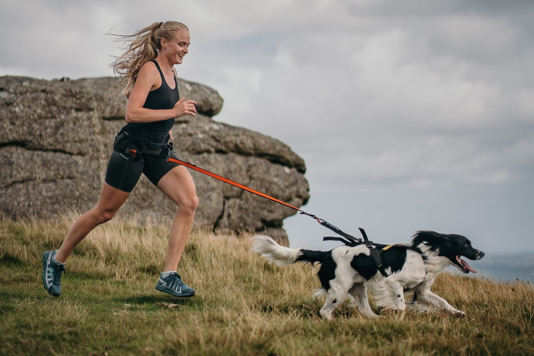 Everything you need to know about canicross gathered in one place!