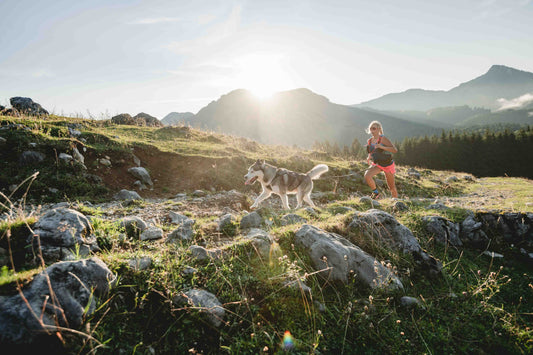 8 tips for trail running with your dog
