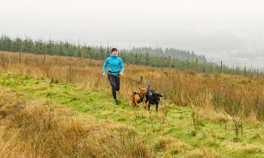 - Running with Bran helped me find myself and love my carreer again