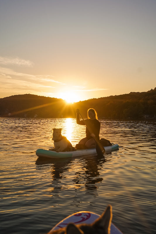 Paws on paddles - Week 3