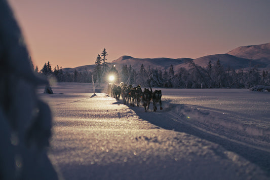 Bringing dog mushing to a worldwide audience