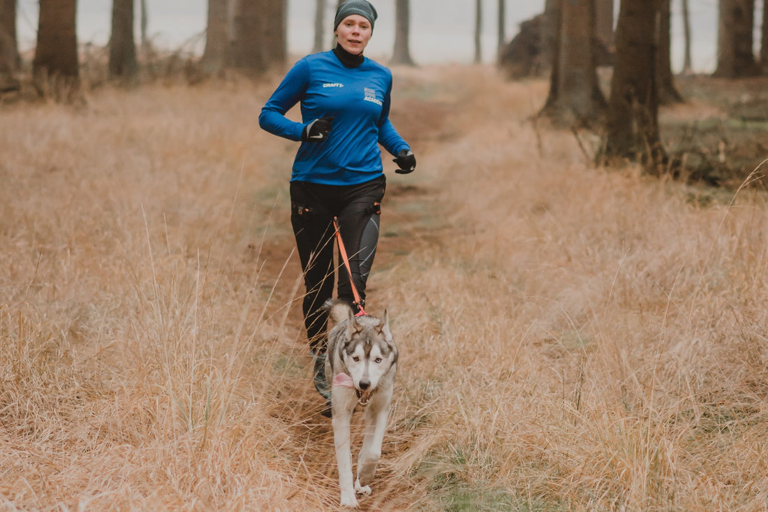 How to warm up and cool down your dog for canicross and bikejoring