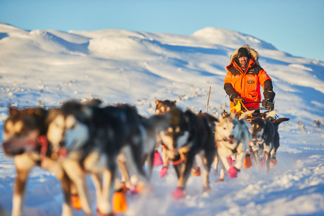 Mini-documantary: - We are not mushers because of money or winning races