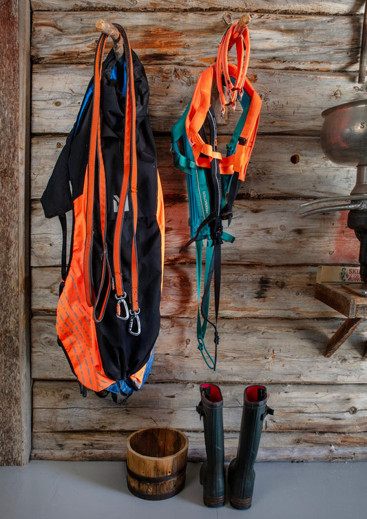 How to care for and repair your dog gear
