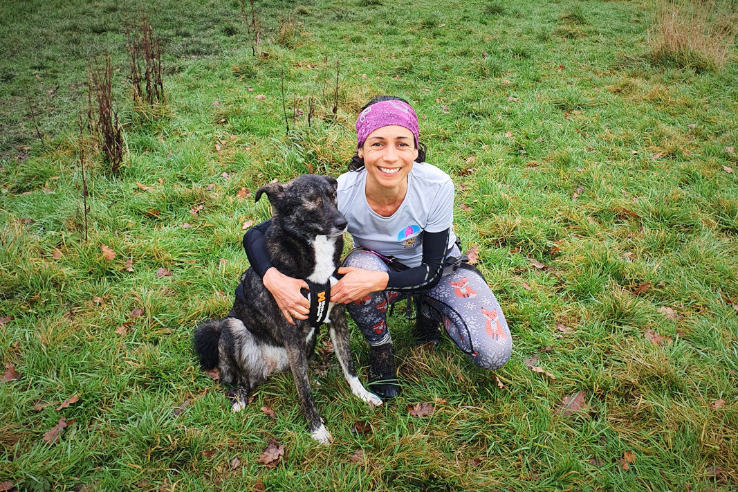 Inka - the blind canicross dog