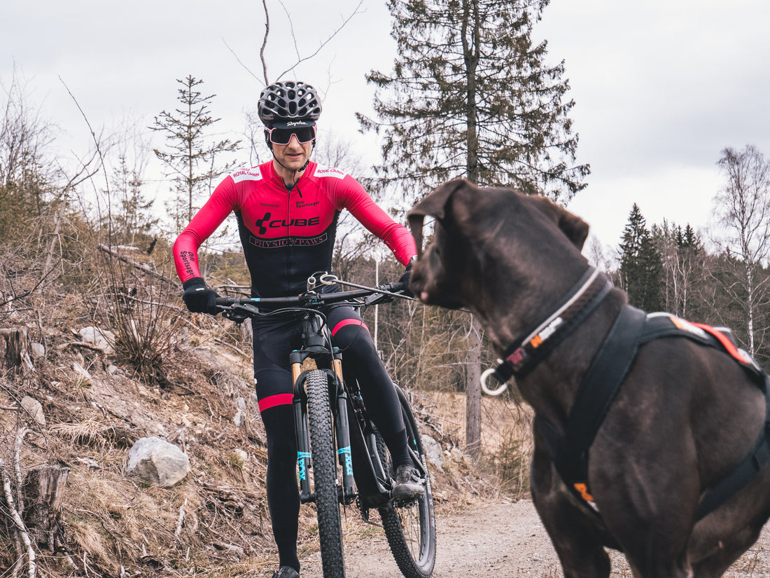 How to keep your competition dog calm and focused in the starting area