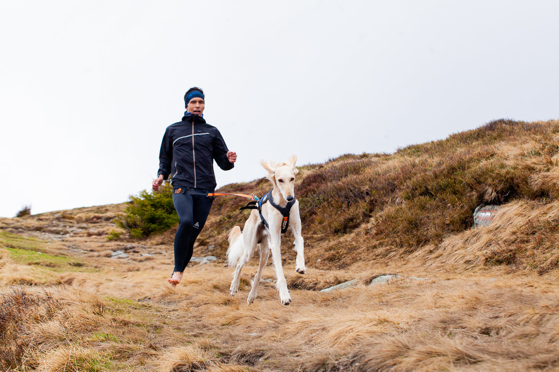 How barefoot canicross helped Johannes improve his running and his understanding of his dog