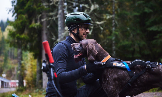 Mini-documentary: Passion for bikejoring