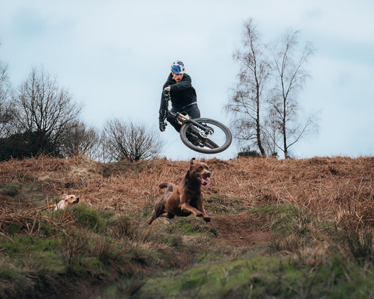 Shredding with Kriss Kyle and his dogs