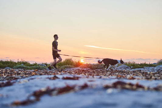 - Running together is lifechanging for many rescue dogs