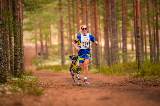 How Sanna Näslund balances canicross, motherhood, and championship success