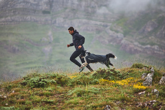 - Running would not be the same without Zar