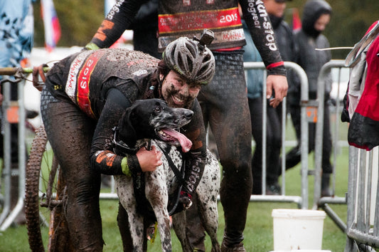 How to give your dog a smooth transition from summer break to racing