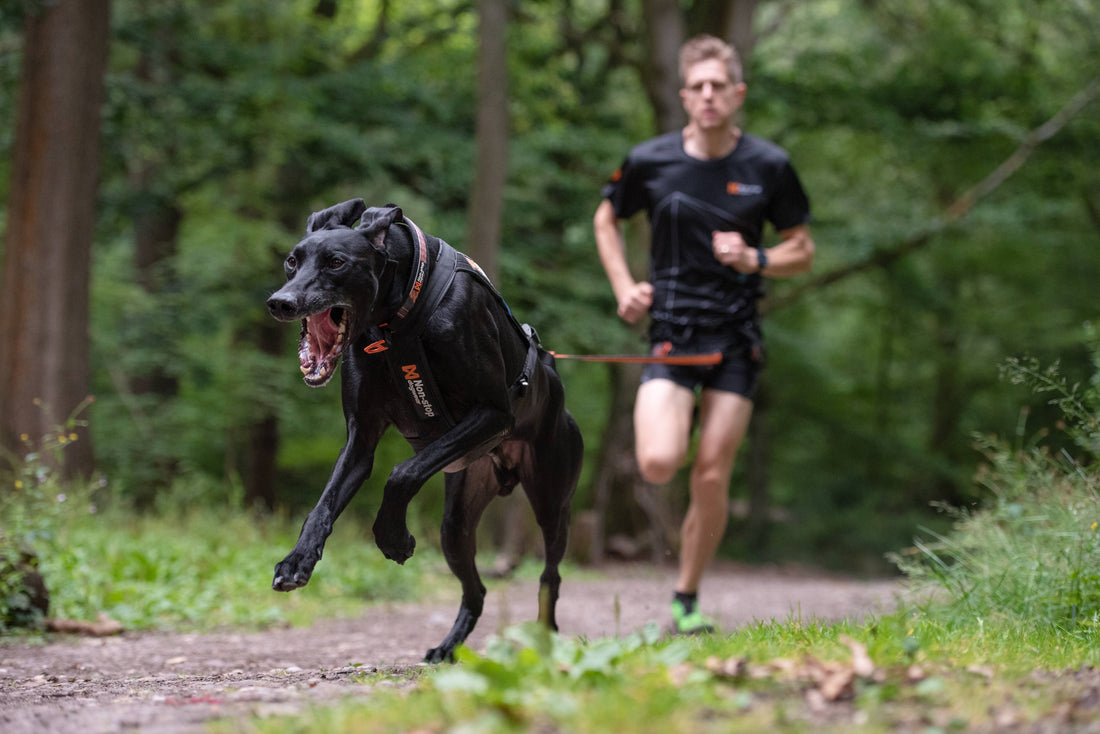 How to train like the fastest canicross duo on Earth