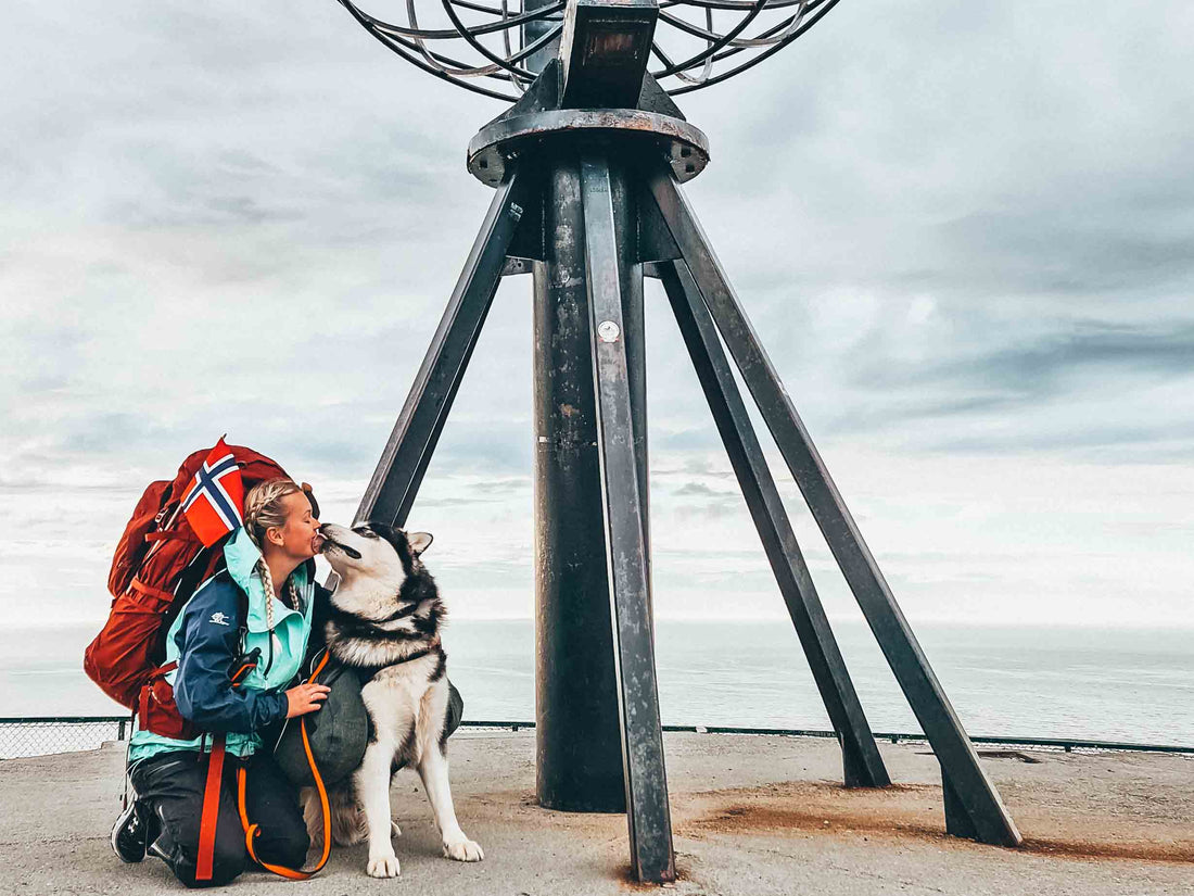 2.800-kilometer hike with a dog - Here is the packing checklist!