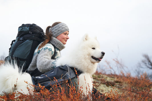 Amundsen pack (1)