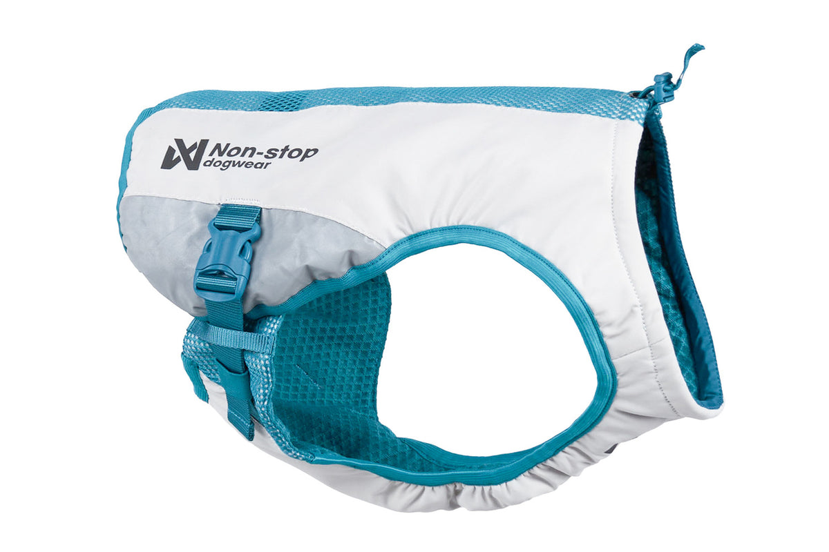 Cooling vest