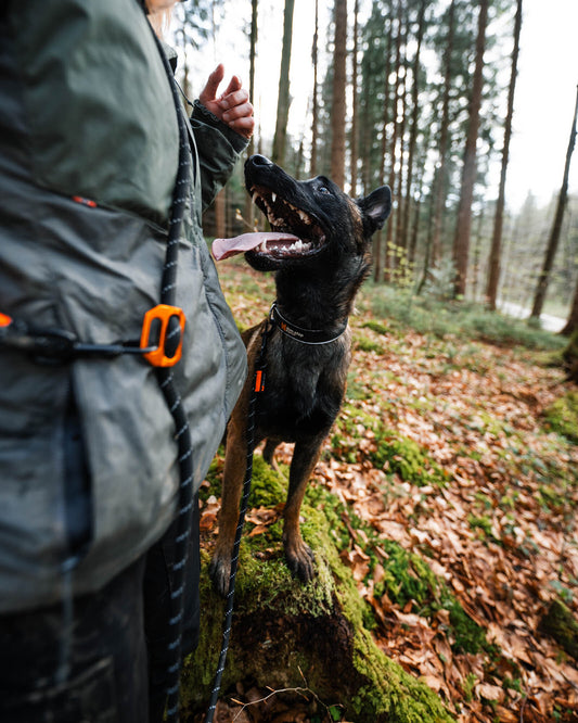 Rock adjustable leash (1)