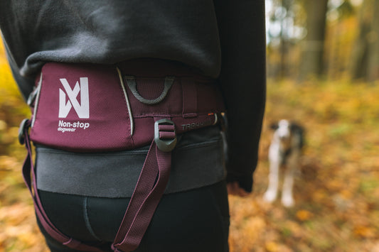 Trekking belt 2.0 (1)