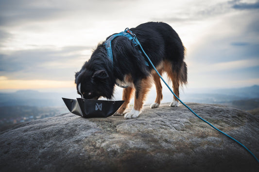Trekking bowl (1)