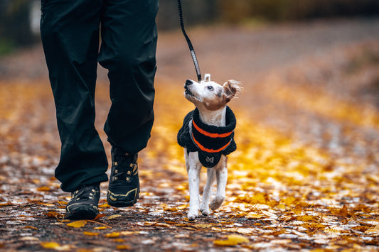 Trekking fleece dog jacket (1)