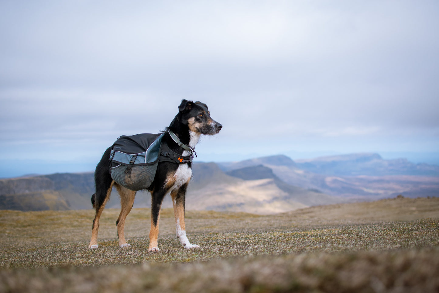 Amundsen pack (5)