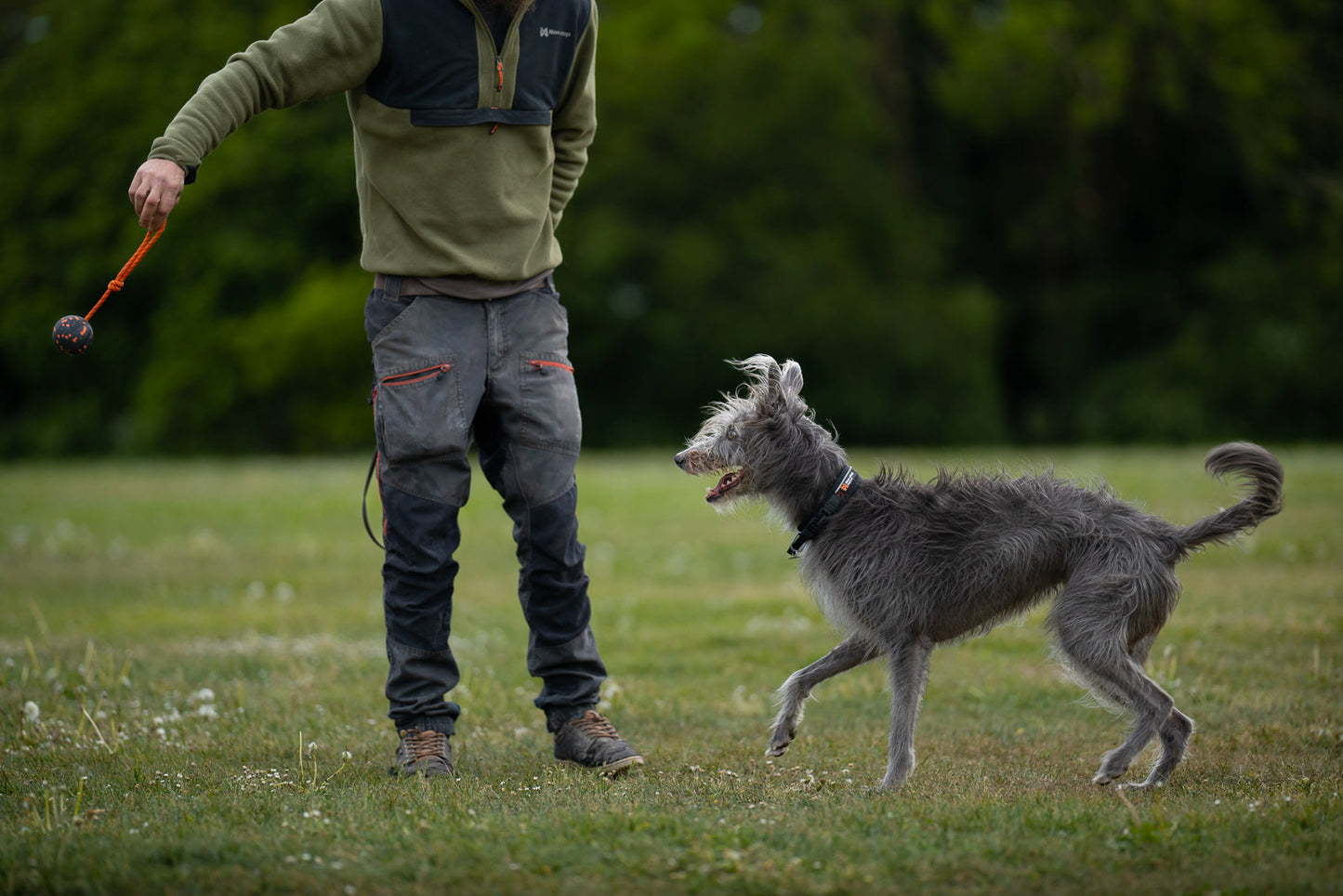 Dog ball on rope (3)