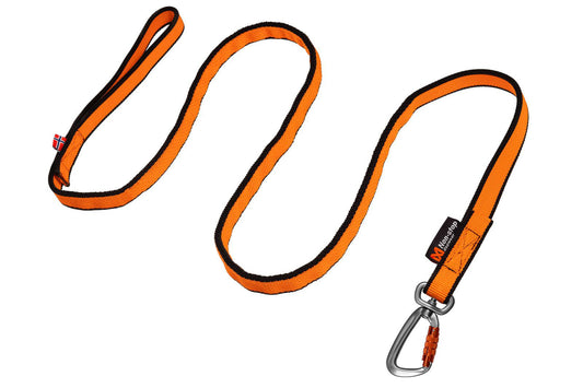 Bungee leash (1) & 16401 & 16411