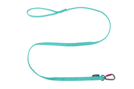 Bungee leash (1)