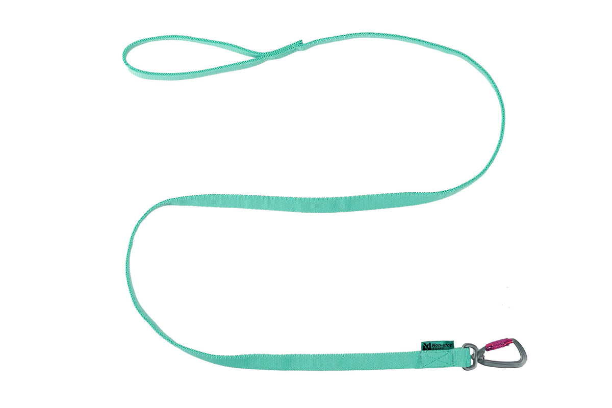 Bungee leash & 3532 & 3533