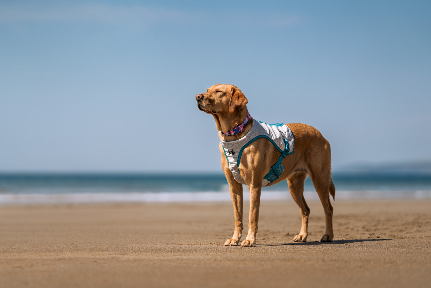 Cooling vest (1)