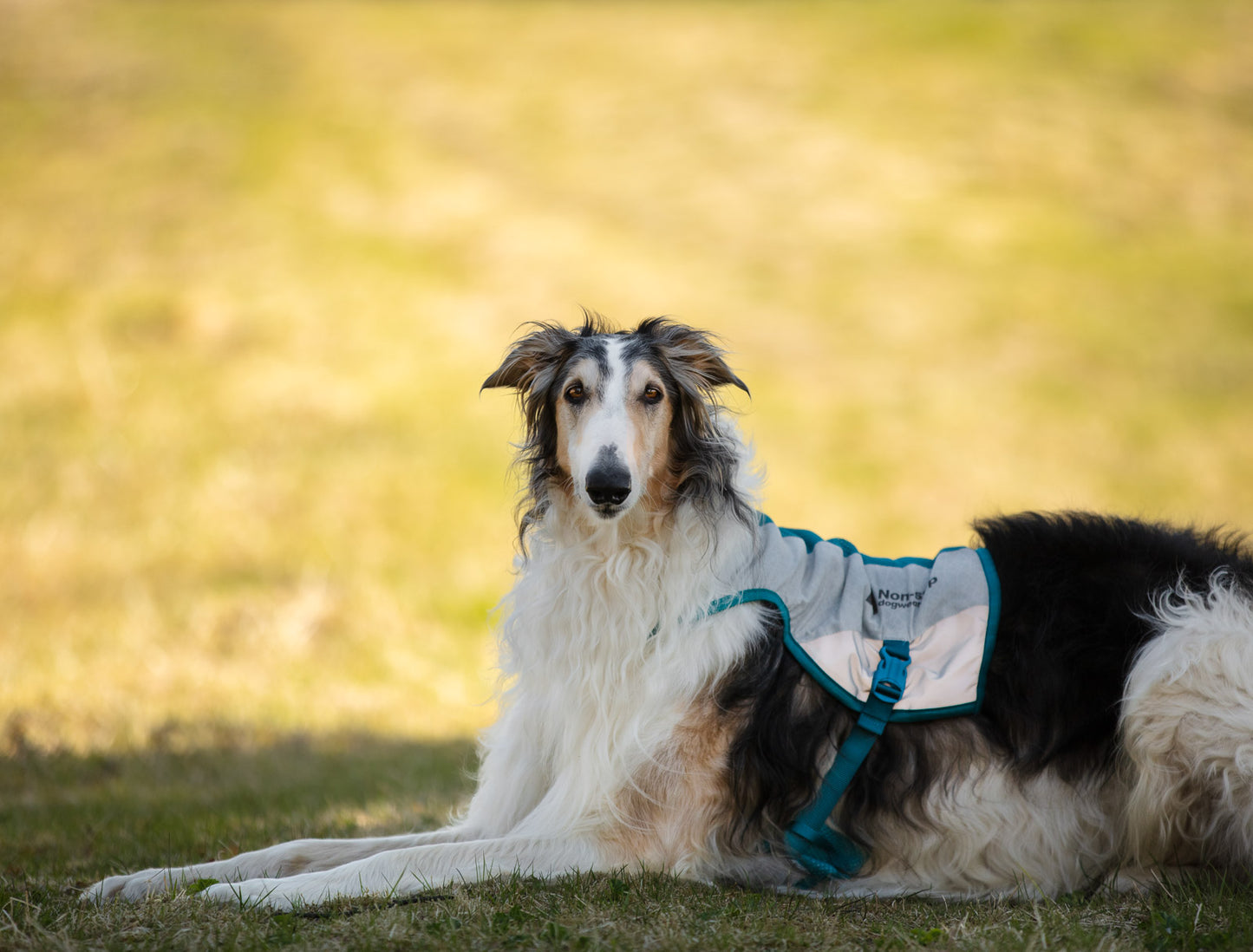 Cooling vest (3)