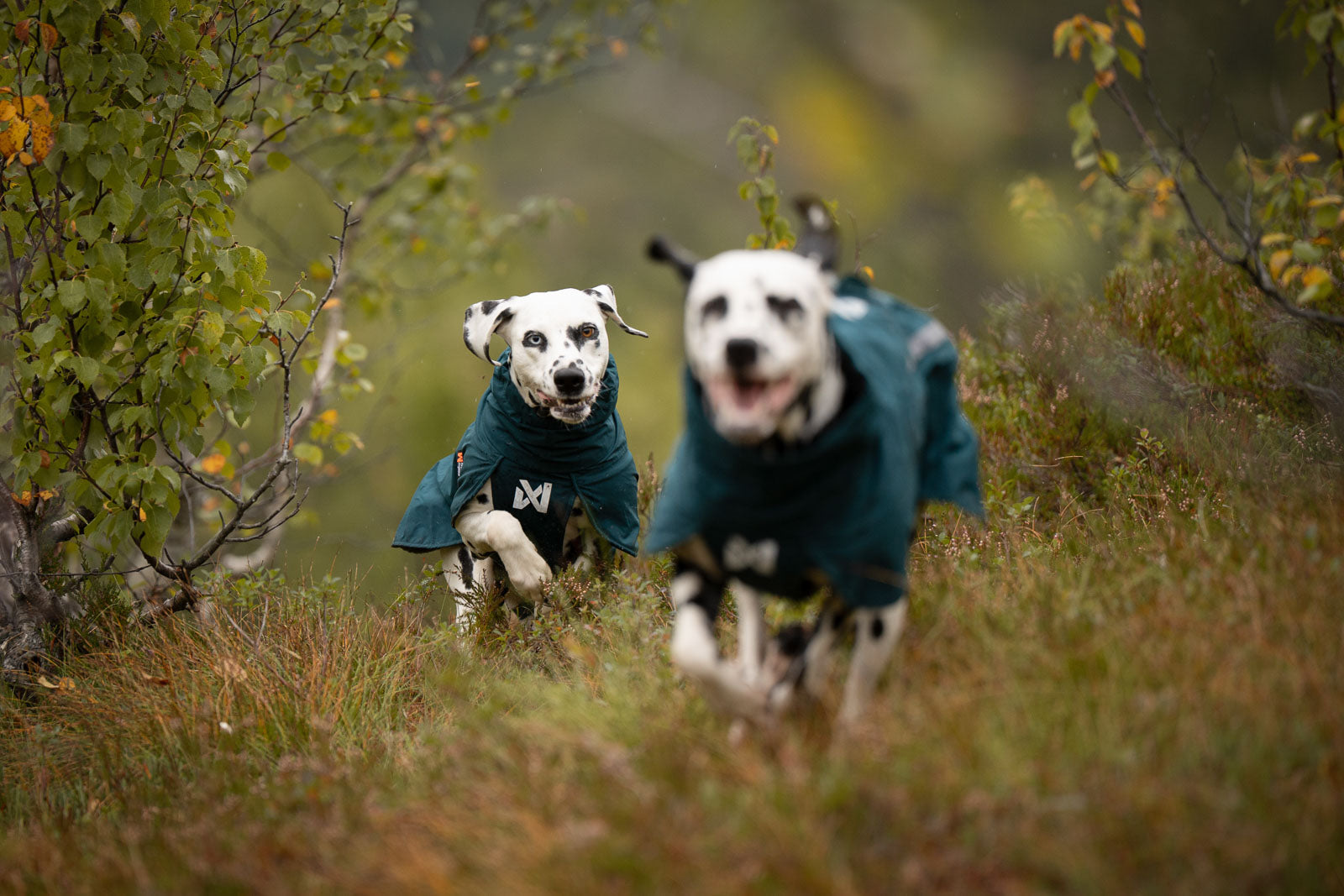 Fjord lined raincoat (2)