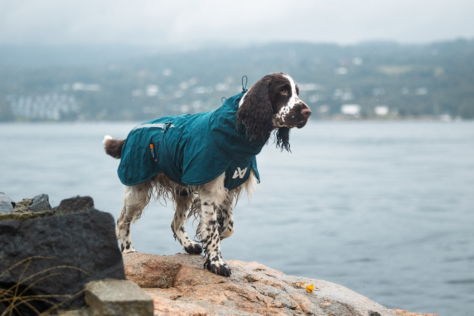 Fjord lined raincoat (3)