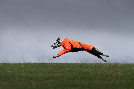 Fjord overall raincoat (1)