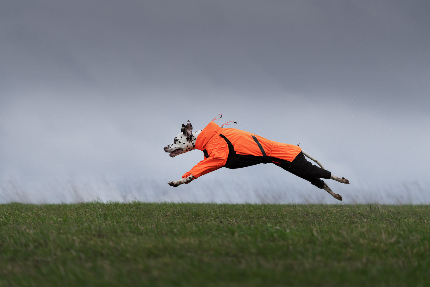 Fjord overall raincoat (2)