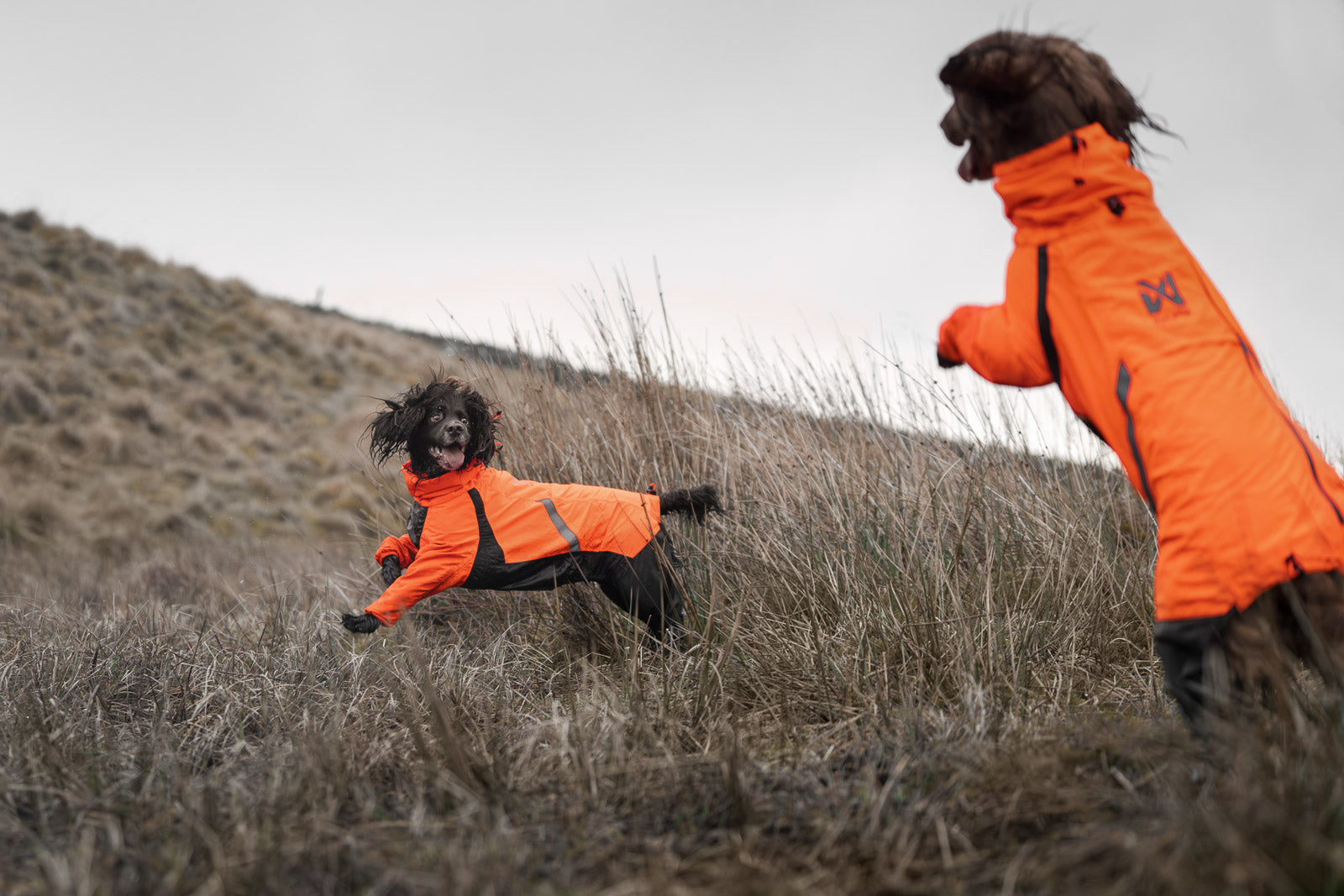 Fjord overall raincoat (4)