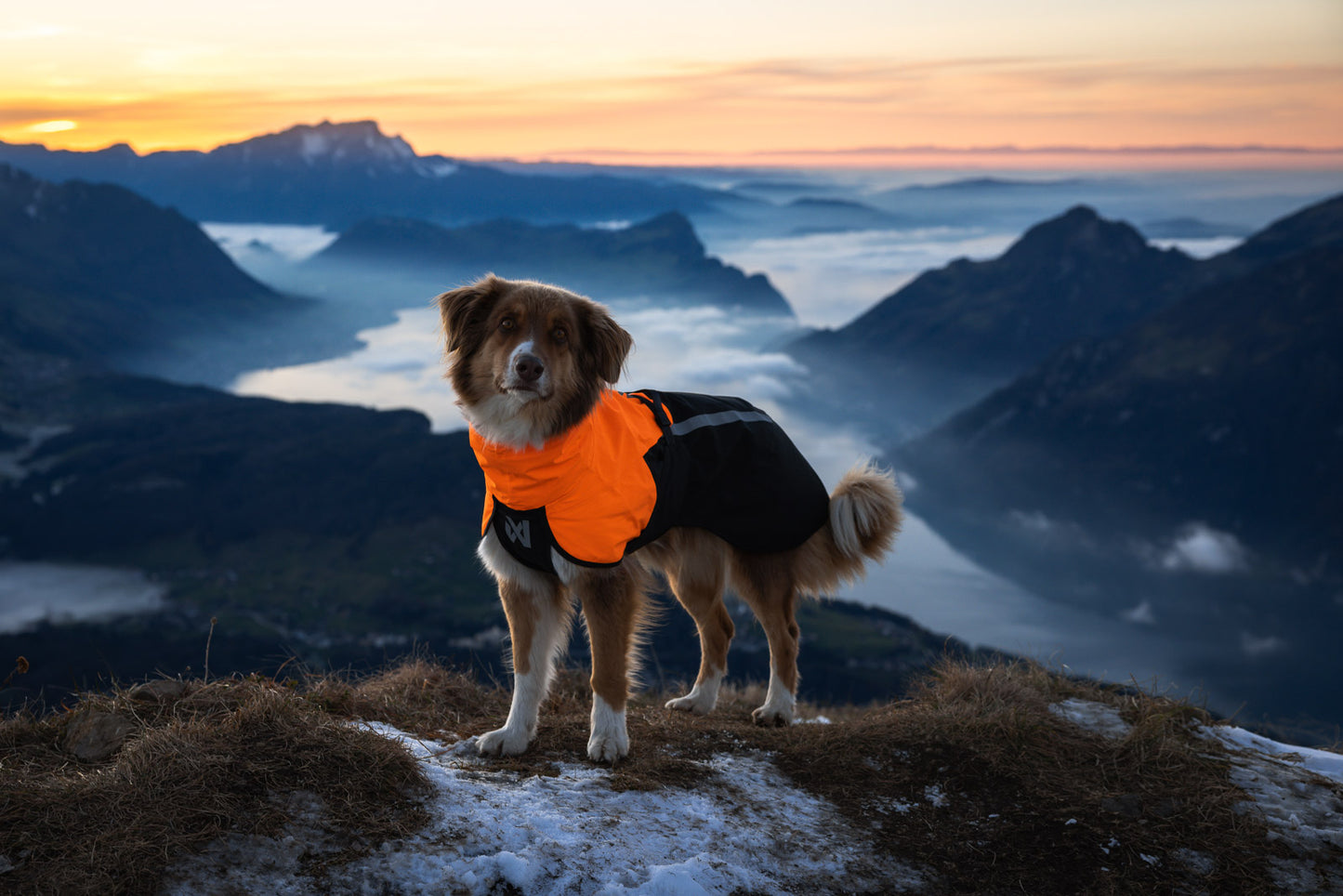 Fjord raincoat 2.0 (2)