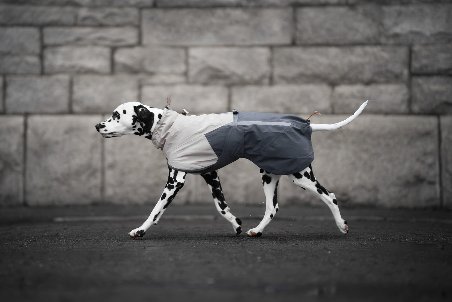 Fjord raincoat 2.0 (3)
