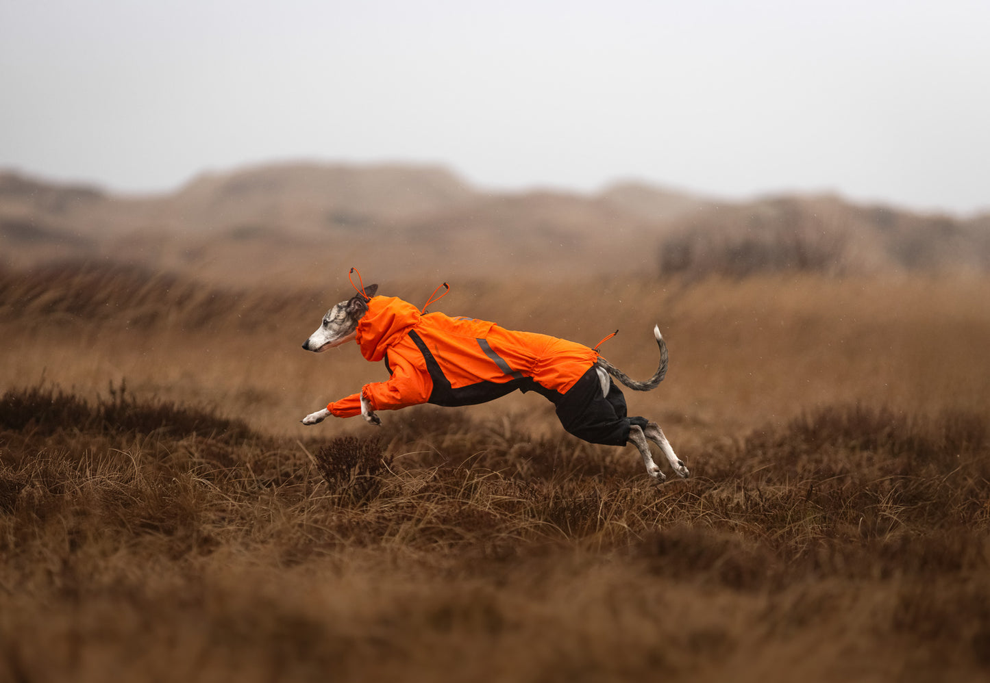 Fjord overall raincoat (4)
