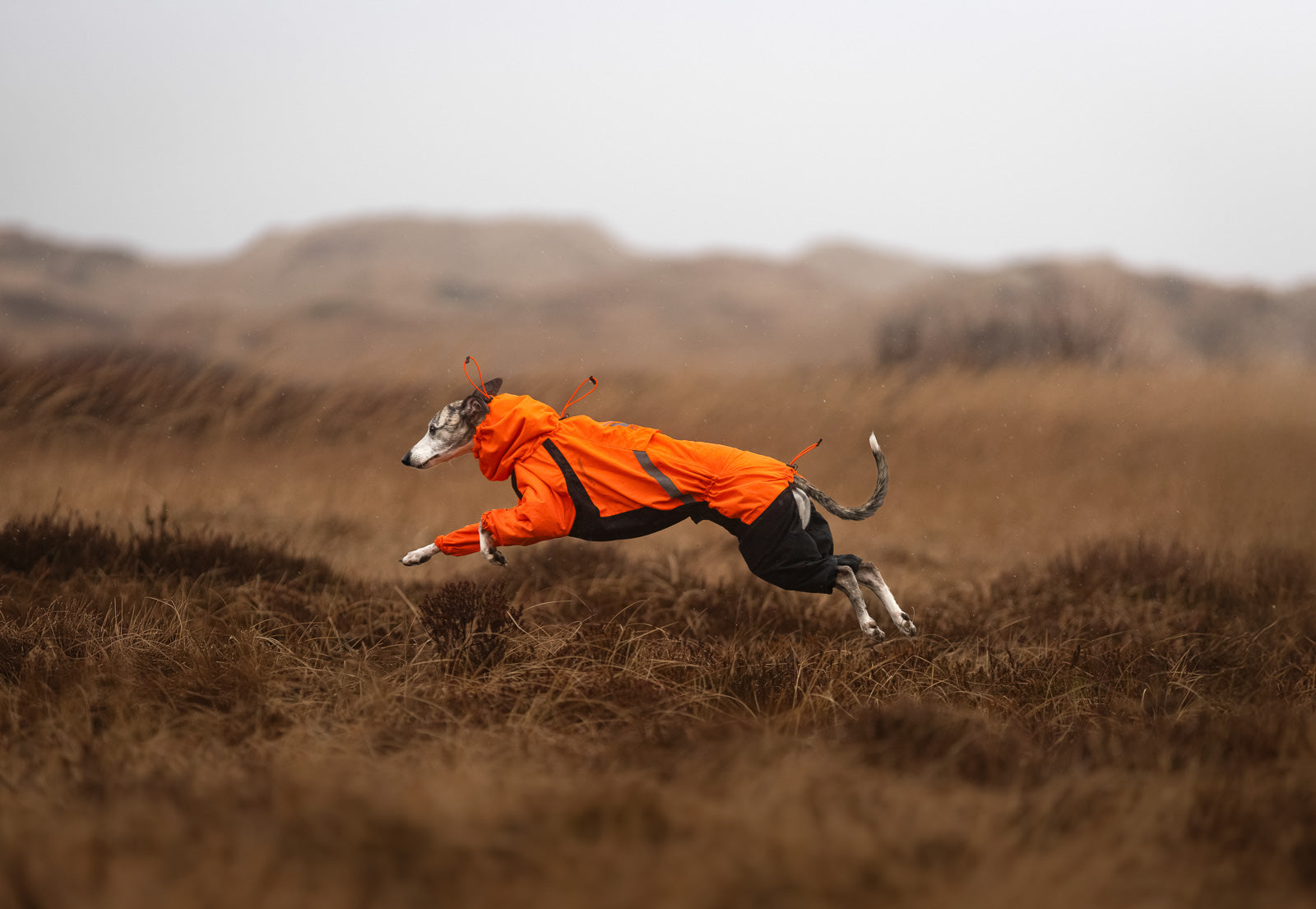 Fjord overall raincoat (5)