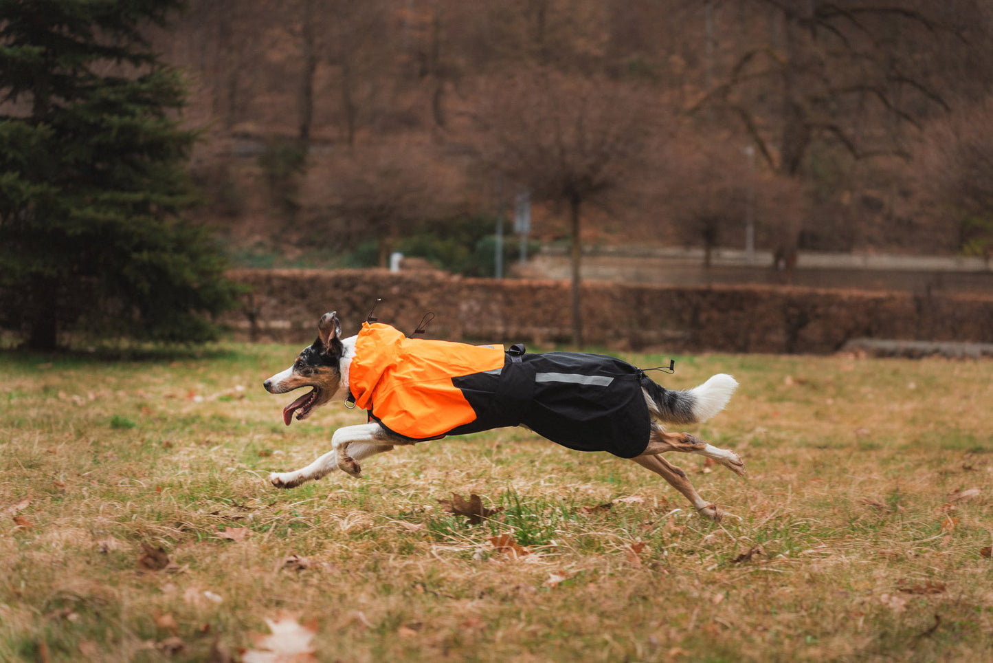 Fjord raincoat 2.0 (4)