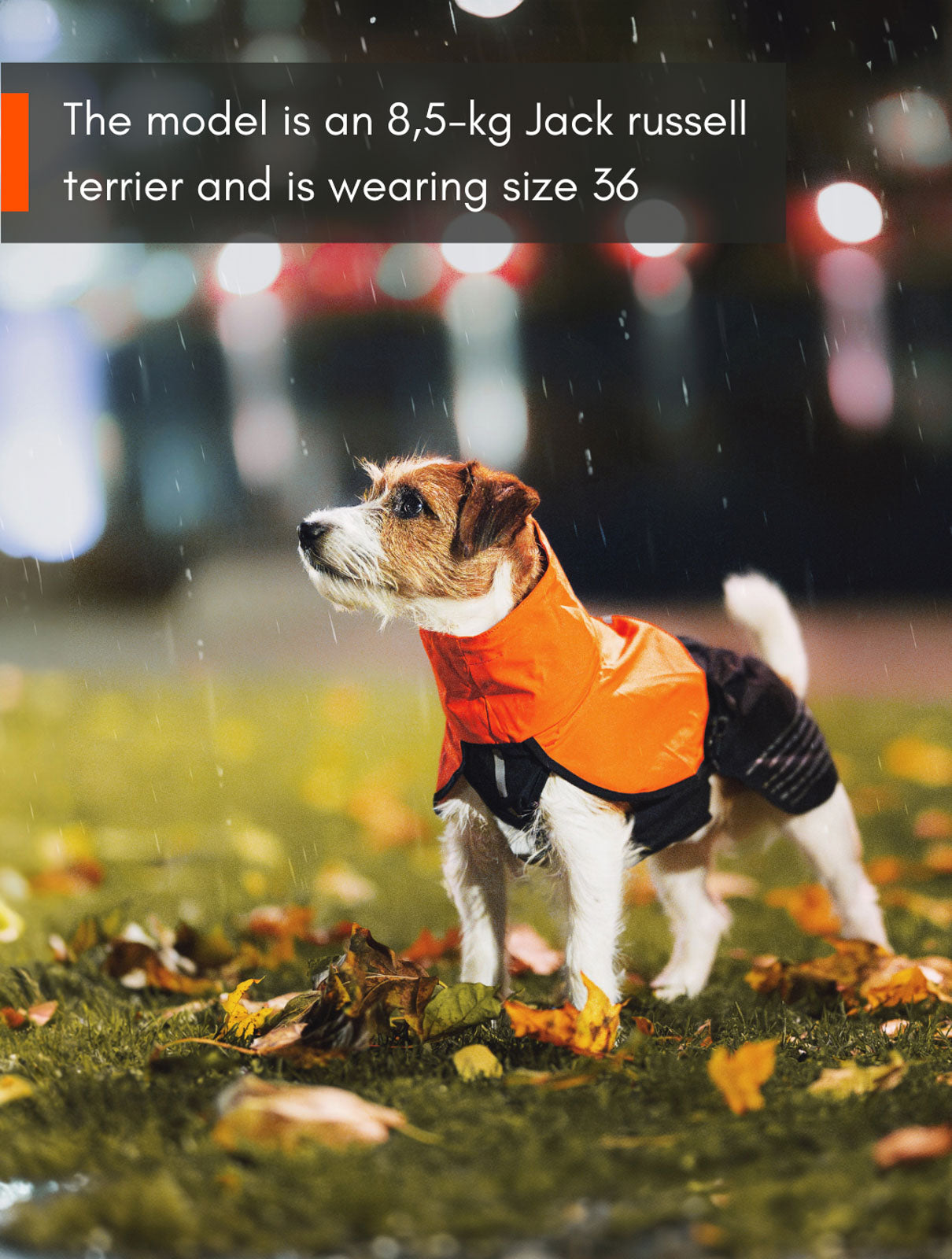 Fjord raincoat (8)
