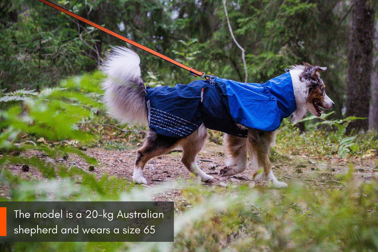 Fjord raincoat (5)