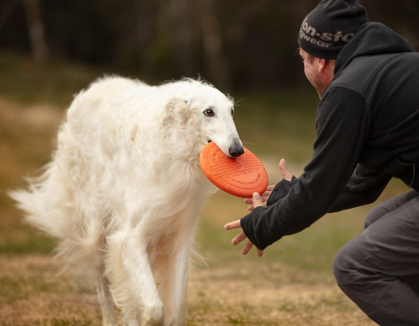 Dog flying disc (2)